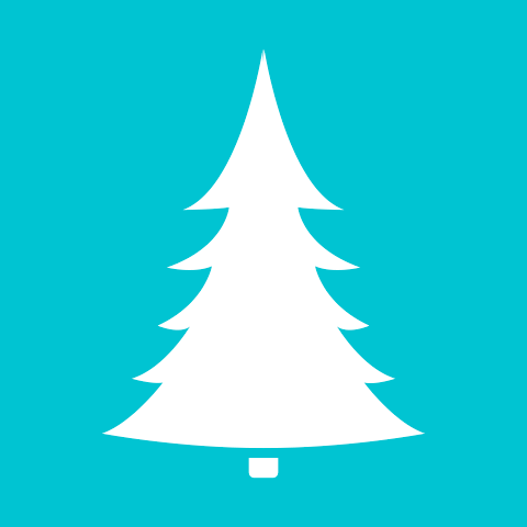 Turquoise Fir